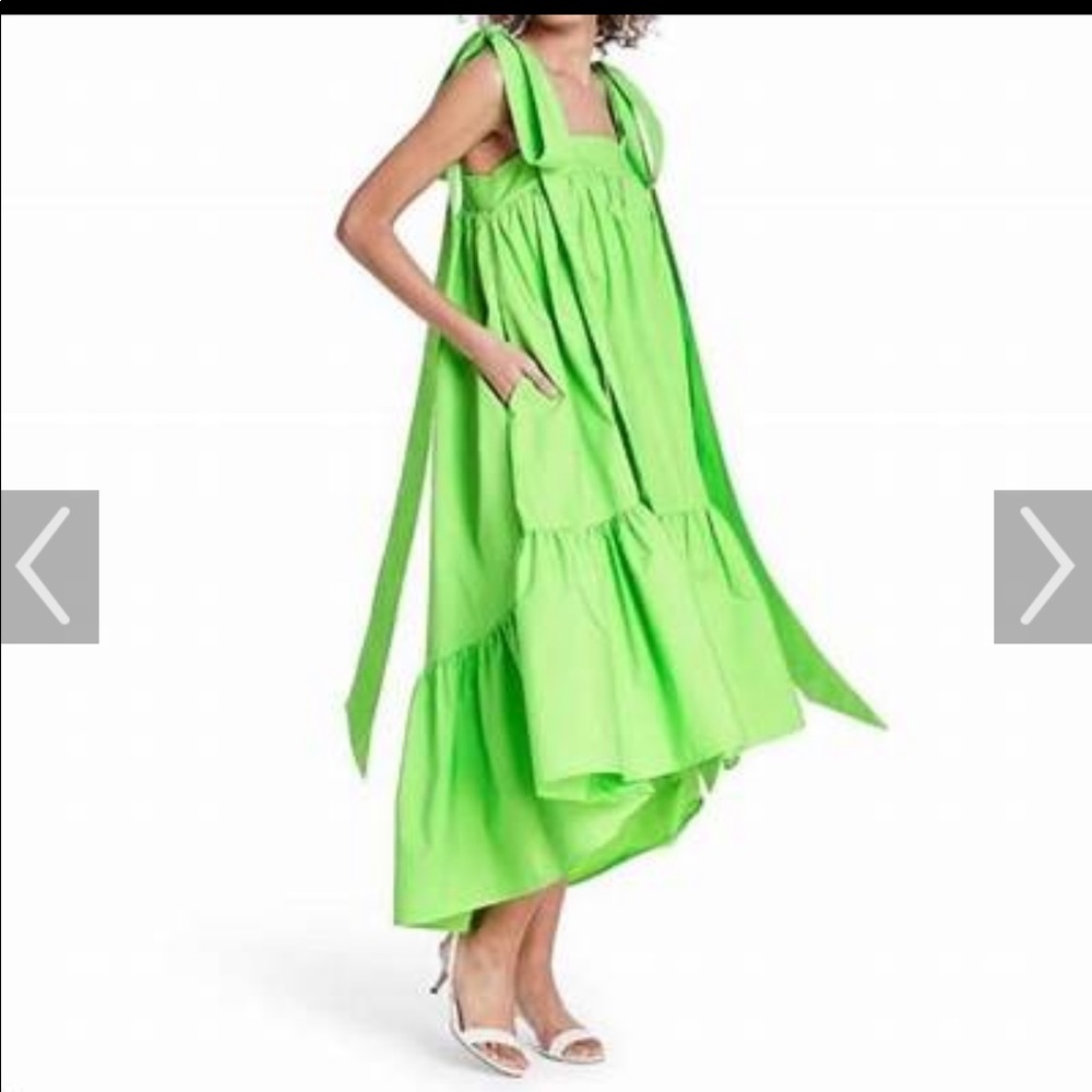 Christopher John rogers green dress